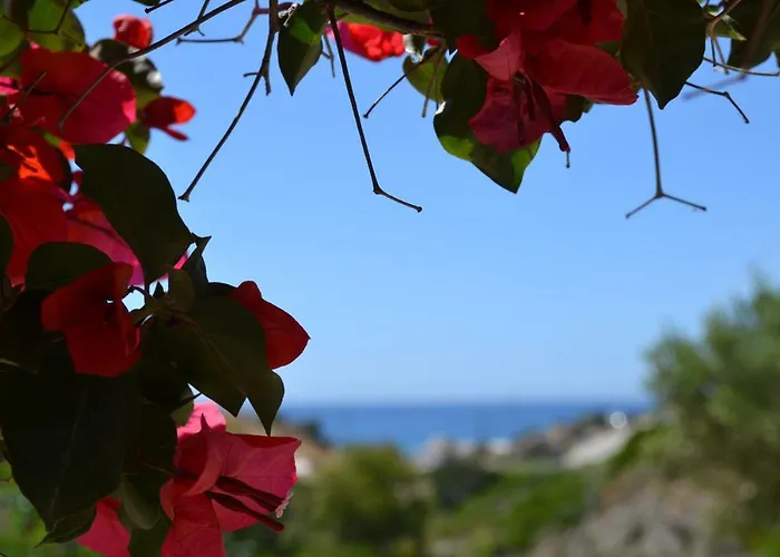 Paleochori (adults Only) * Paliochori