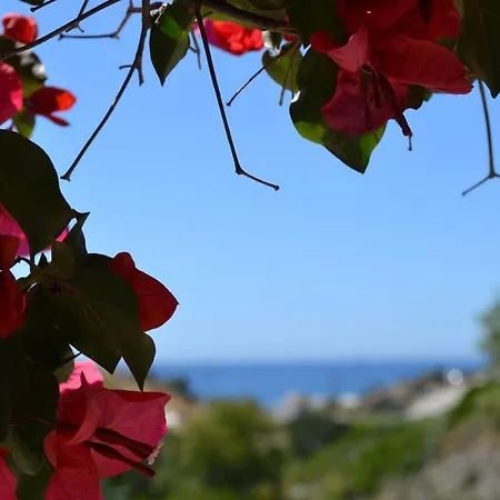 Paleochori (adults Only) * Paliochori